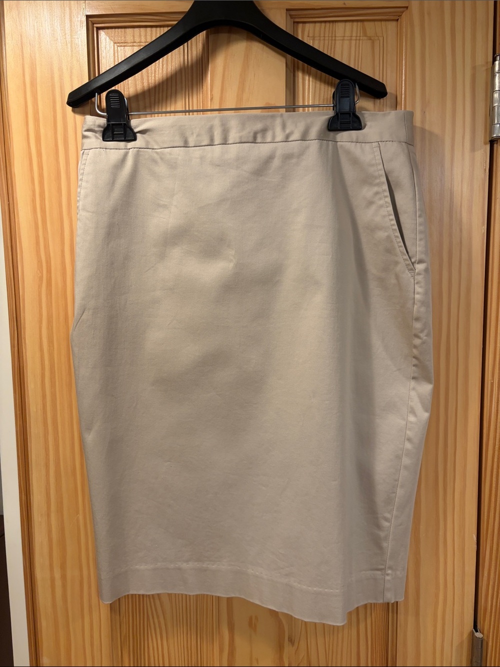 Charter Club Neutral Beige Pencil Skirt